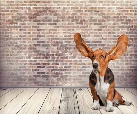 2017年9月21日雅思写作考试小作文范文图1