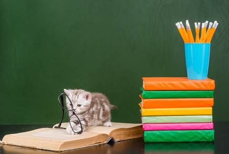 你为什么拿不了高分?解析雅思写作的3个失分点图1